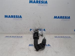 Gebruikte Veiligheidsgordel rechts-achter Citroen C4 Picasso (3D/3E) 1.6 BlueHDI 115 Prijs € 65,00 Margeregeling aangeboden door Maresia Parts