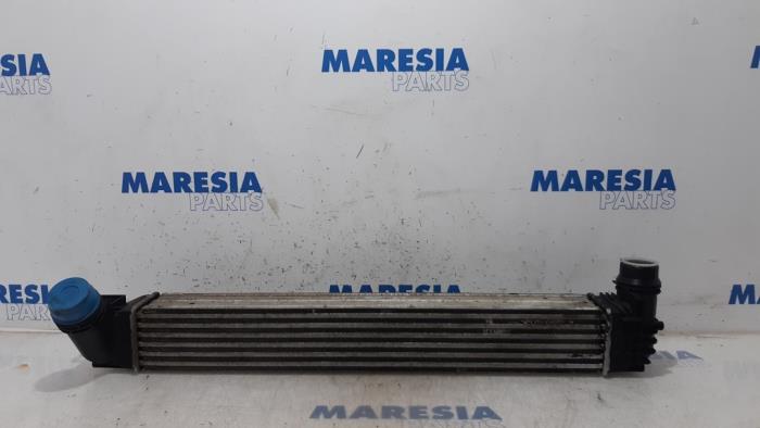 Gebruikte Intercooler Renault Megane III Berline (BZ) 1.5 dCi 105 Prijs € 30,00 Margeregeling aangeboden door Maresia Parts