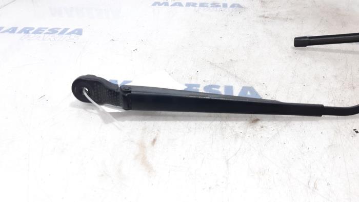 RENAULT Scenic 3 generation (2009-2015) Front Wiper Arms 288860003R 19469851