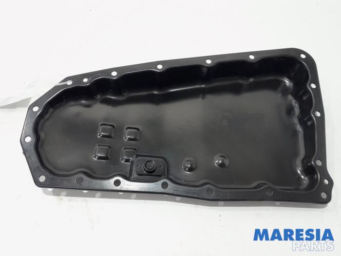 Gebruikte Carterpan Renault Scénic III (JZ) 2.0 16V CVT Prijs € 50,00 Margeregeling aangeboden door Maresia Parts