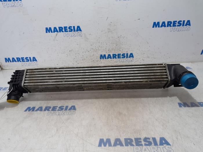 Gebruikte Intercooler Renault Scénic III (JZ) 1.5 dCi 110 Prijs € 50,00 Margeregeling aangeboden door Maresia Parts