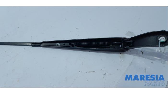 RENAULT Zoe 1 generation (2012-2023) Front Wiper Arms 288860987R 23513085