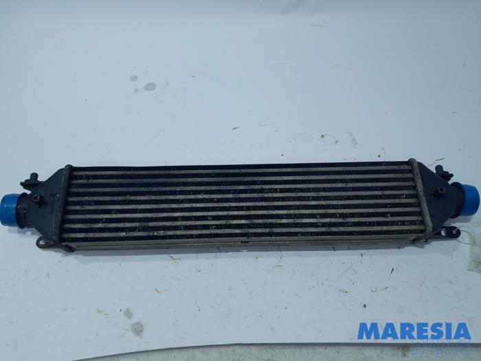 Gebruikte Intercooler Fiat Doblo Cargo (263) 1.3 D Multijet Prijs € 42,35 Inclusief btw aangeboden door Maresia Parts