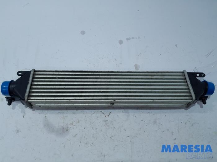 Gebruikte Intercooler Fiat Doblo Cargo (263) 1.4 T-Jet 16V Prijs € 60,50 Inclusief btw aangeboden door Maresia Parts