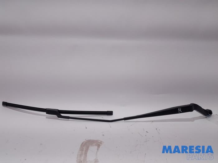 CITROËN Jumper 3 generation (2006-2024) Front Wiper Arms 6429CH 25172582