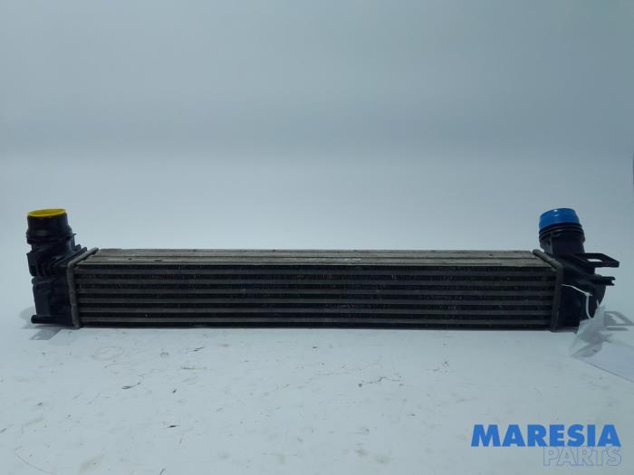 Gebruikte Intercooler Renault Scénic III (JZ) 1.5 dCi 110 Prijs € 40,00 Margeregeling aangeboden door Maresia Parts