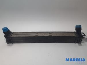 Gebruikte Intercooler Renault Megane III Grandtour (KZ) 1.4 16V TCe 130 Prijs € 30,00 Margeregeling aangeboden door Maresia Parts
