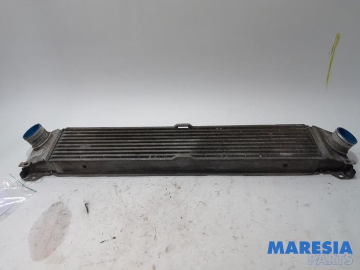 Gebruikte Intercooler Fiat Ducato (250) 2.2 D 100 Multijet Euro 4 Prijs € 54,45 Inclusief btw aangeboden door Maresia Parts