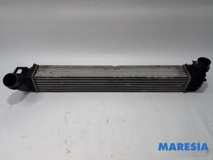 Gebruikte Intercooler Renault Megane III Coupe (DZ) 1.2 16V TCE 115 Prijs € 30,00 Margeregeling aangeboden door Maresia Parts