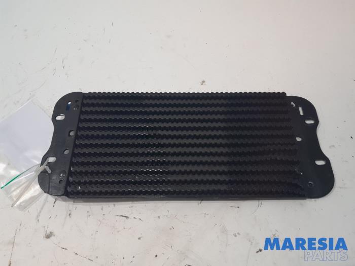 Gebruikte Brandstofkoeler Renault Master III (MA/MB/MC/MD/MH/MF/MG/MH) 2.3 dCi 150 16V Prijs € 78,65 Inclusief btw aangeboden door Maresia Parts