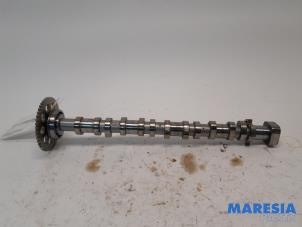 Gebruikte Nokkenas Alfa Romeo Giulia (952) 2.0 T 16V Veloce Q4 Prijs € 249,99 Margeregeling aangeboden door Maresia Parts