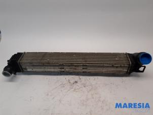 Gebruikte Intercooler Renault Megane III Coupe (DZ) 2.0 16V TCe 180 Prijs € 75,00 Margeregeling aangeboden door Maresia Parts