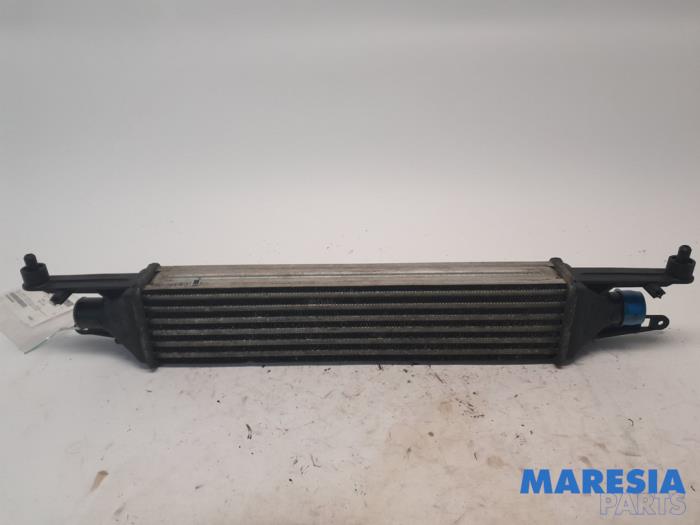 Gebruikte Intercooler Fiat Punto Evo (199) 1.3 JTD Multijet 85 16V Euro 5 Prijs € 35,00 Margeregeling aangeboden door Maresia Parts