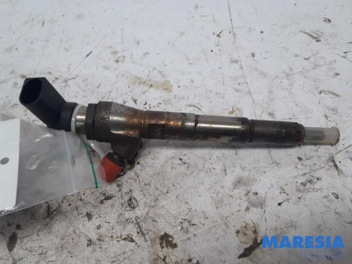 RENAULT Scenic 3 generation (2009-2015) Fuel Injector 166008052R 25182451