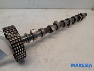 Gebruikte Nokkenas Renault Scénic III (JZ) 1.5 dCi 110 Prijs € 73,99 Margeregeling aangeboden door Maresia Parts