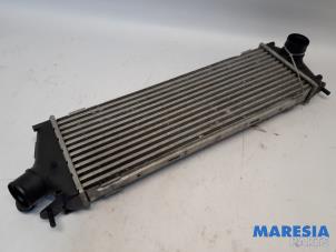 Gebruikte Intercooler Renault Trafic New (FL) 2.5 dCi 16V 145 Prijs € 36,30 Inclusief btw aangeboden door Maresia Parts