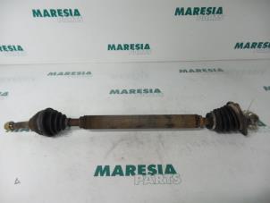 Gebruikte Cardanas rechts-voor (VWA) Fiat Panda Prijs € 25,00 Margeregeling aangeboden door Maresia Parts