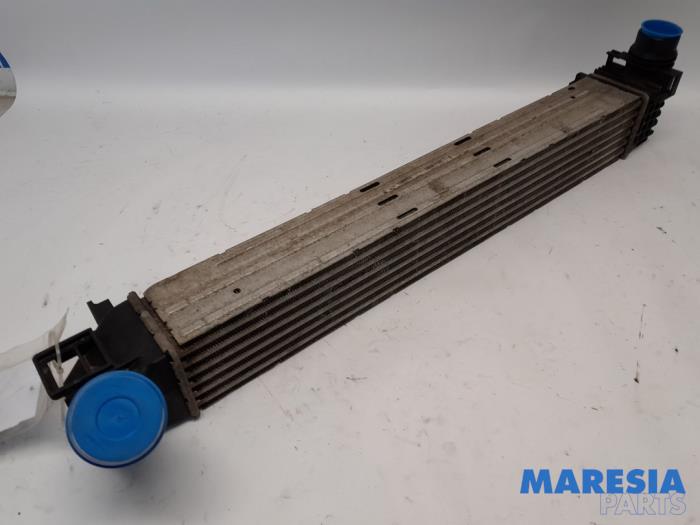 Gebruikte Intercooler Renault Megane III Coupe (DZ) 1.4 16V TCe 130 Prijs € 30,00 Margeregeling aangeboden door Maresia Parts