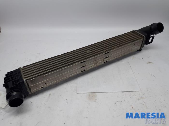 Gebruikte Intercooler Renault Megane III Grandtour (KZ) 1.4 16V TCe 130 Prijs € 30,00 Margeregeling aangeboden door Maresia Parts
