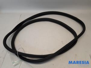 Gebruikte Deurrubber 4Deurs rechts-achter Peugeot 3008 I (0U/HU) 1.6 16V THP 155 Prijs € 40,00 Margeregeling aangeboden door Maresia Parts