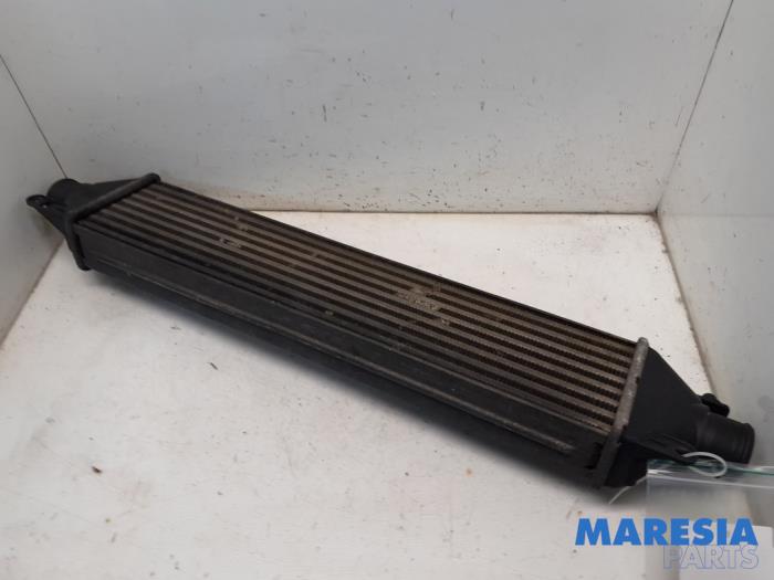 Gebruikte Intercooler Lancia Delta (844) 1.4 T-Jet 16V 150 Prijs € 35,00 Margeregeling aangeboden door Maresia Parts
