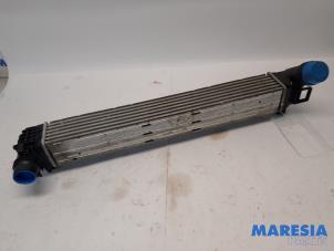 Gebruikte Intercooler Renault Megane III Grandtour (KZ) 1.4 16V TCe 130 Prijs € 30,00 Margeregeling aangeboden door Maresia Parts