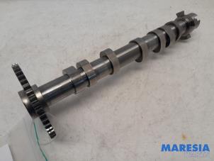 Gebruikte Nokkenas Fiat Punto III (199) 0.9 TwinAir Turbo 100 Prijs € 105,00 Margeregeling aangeboden door Maresia Parts