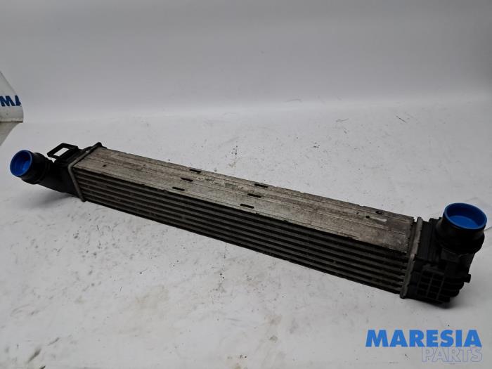 Gebruikte Intercooler Renault Scénic III (JZ) 1.4 16V TCe 130 Prijs € 30,00 Margeregeling aangeboden door Maresia Parts