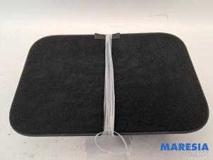 Gebruikte Opbergvak Renault Scénic III (JZ) 1.4 16V TCe 130 Prijs € 20,00 Margeregeling aangeboden door Maresia Parts