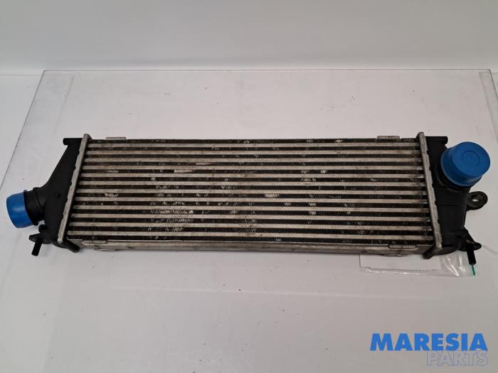 Gebruikte Intercooler Renault Trafic New (FL) 2.0 dCi 16V 115 Prijs € 36,30 Inclusief btw aangeboden door Maresia Parts