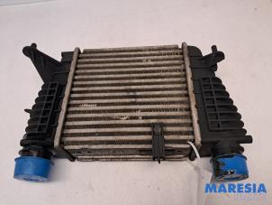 Gebruikte Intercooler Renault Clio III Estate/Grandtour (KR) 1.2 16V TCE 100 Prijs € 50,00 Margeregeling aangeboden door Maresia Parts