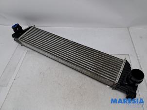 Gebruikte Intercooler Renault Master III (MA/MB/MC/MD/MH/MF/MG/MH) 2.3 dCi 135 16V FWD Prijs € 121,00 Inclusief btw aangeboden door Maresia Parts