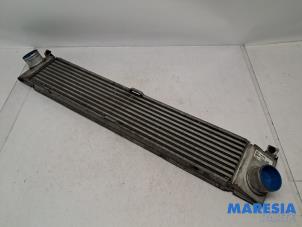 Gebruikte Intercooler Fiat Ducato (250) 2.3 D 120 Multijet Prijs € 54,45 Inclusief btw aangeboden door Maresia Parts