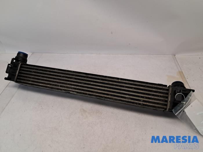 Gebruikte Intercooler Renault Grand Scénic III (JZ) 1.4 16V TCe 130 Prijs € 30,00 Margeregeling aangeboden door Maresia Parts