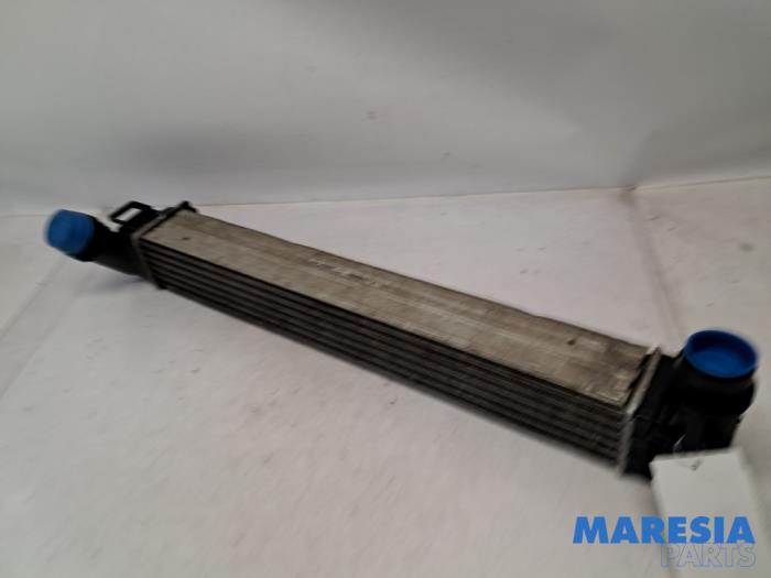 Gebruikte Intercooler Renault Megane III Grandtour (KZ) 1.2 16V TCE 115 Prijs € 30,00 Margeregeling aangeboden door Maresia Parts
