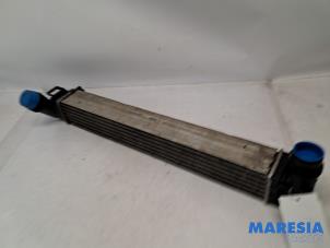 Gebruikte Intercooler Renault Megane III Grandtour (KZ) 1.2 16V TCE 115 Prijs € 30,00 Margeregeling aangeboden door Maresia Parts