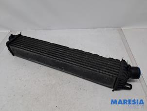 Gebruikte Intercooler Alfa Romeo Giulietta (940) 1.75 TBI 16V QV Prijs € 65,00 Margeregeling aangeboden door Maresia Parts