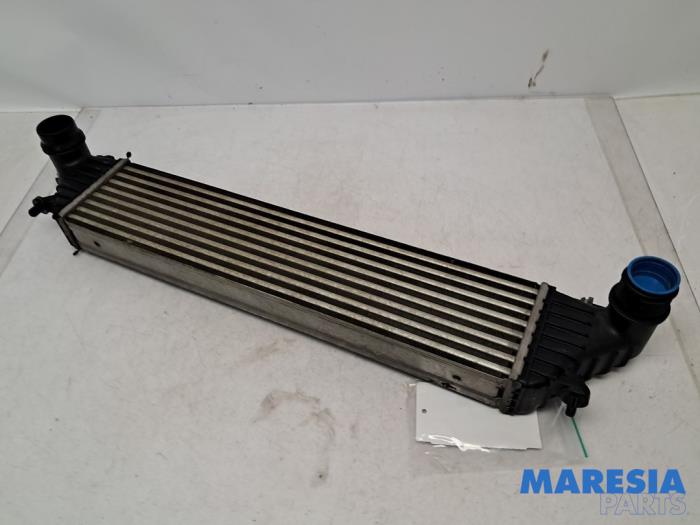 Intercooler van een Fiat 500L (199) 1.4 Turbo 16V 2014