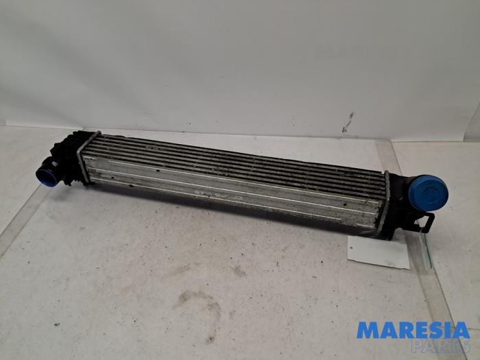 Gebruikte Intercooler Renault Megane III Grandtour (KZ) 1.5 dCi 110 Prijs € 30,00 Margeregeling aangeboden door Maresia Parts