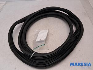 Gebruikte Deurrubber 2Deurs rechts Opel Combo Cargo 1.5 CDTI 100 Prijs € 42,34 Inclusief btw aangeboden door Maresia Parts