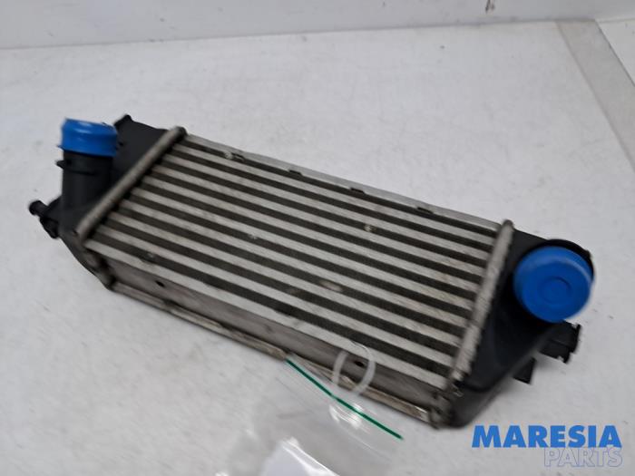 Gebruikte Intercooler Fiat Panda (312) 0.9 TwinAir Turbo 85 Prijs € 44,99 Margeregeling aangeboden door Maresia Parts