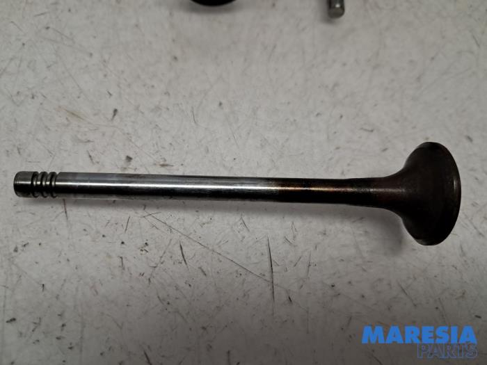 Uitlaatklep van een Citroën Jumpy 2.0 Blue HDI 180 2019