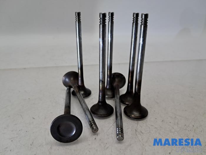 Uitlaatklep van een Citroën Jumpy 2.0 Blue HDI 180 2019