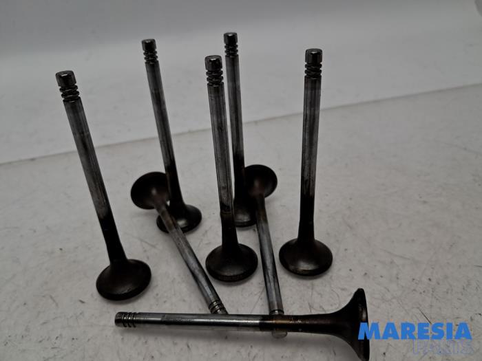 Uitlaatklep van een Citroën Jumpy 2.0 Blue HDI 180 2019