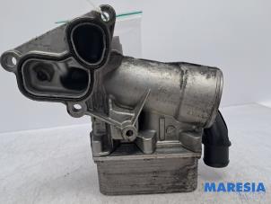 Gebruikte Oliefilterhuis Renault Master III (MA/MB/MC/MD/MH/MF/MG/MH) 2.3 dCi 135 16V FWD Prijs € 60,50 Inclusief btw aangeboden door Maresia Parts