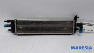 Gebruikte Radiateur Peugeot 3008 I (0U/HU) 2.0 HYbrid4 16V Prijs € 49,00 Margeregeling aangeboden door Maresia Parts
