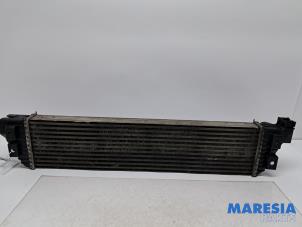 Gebruikte Intercooler Opel Movano 2.3 CDTi 16V FWD Prijs € 102,85 Inclusief btw aangeboden door Maresia Parts