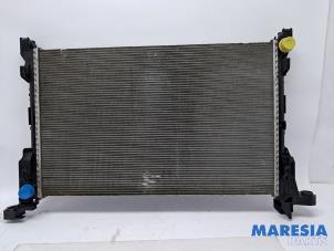 Gebruikte Radiateur Opel Vivaro 1.6 CDTi BiTurbo Prijs € 151,24 Inclusief btw aangeboden door Maresia Parts