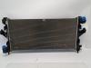 Radiateur van een Fiat Ducato (250), 2006 3.0 140 Natural Power, Bus, 2.998cc, 100kW (136pk), FWD, F1CE0441A, 2009-04 / 2014-07 2012