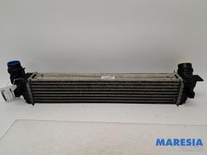 Gebruikte Intercooler Renault Grand Scénic III (JZ) 1.6 dCi Prijs € 70,00 Margeregeling aangeboden door Maresia Parts
